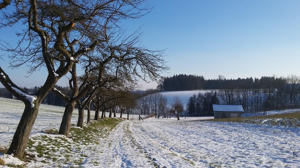 Pension Weinbauer Hofkirchen im Traunkreis Exterior photo
